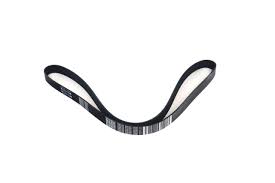 Mack 22696212 Accessory Drive Belt | OEM